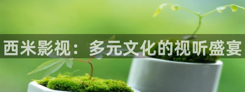 八戒影院最新电影电视剧：西米影视：多元文化的视听盛宴