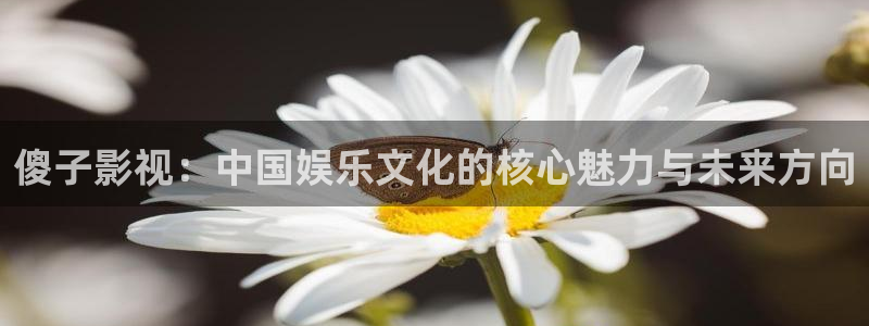 八戒影院神马：傻子影视：中国娱乐文化的核心魅力与未来方向