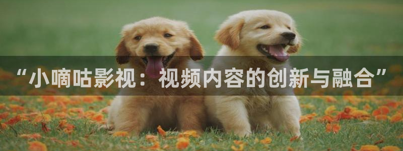 八戒影院在线免费看：“小嘀咕影视：视频内容的创新与融合”